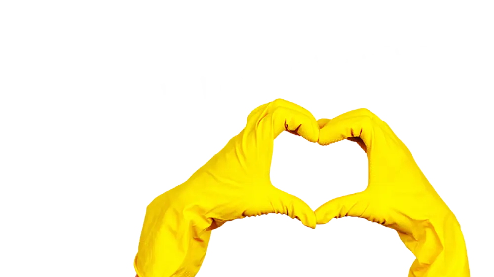 we-love-cleaning